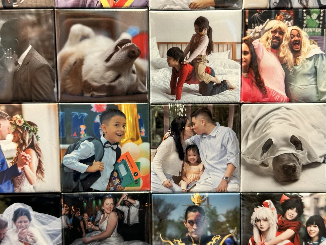 Close-up of a collection of finished family and pet photo magnets